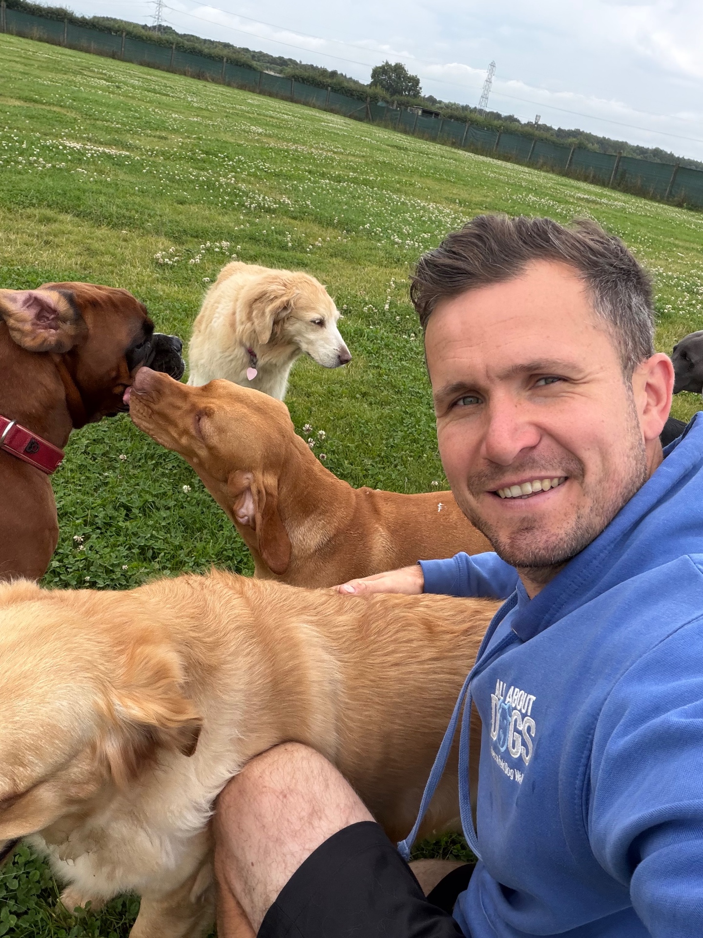 Graeme in his All About Dogs hoodie surrounded by happy dogs in the secure enclosed field