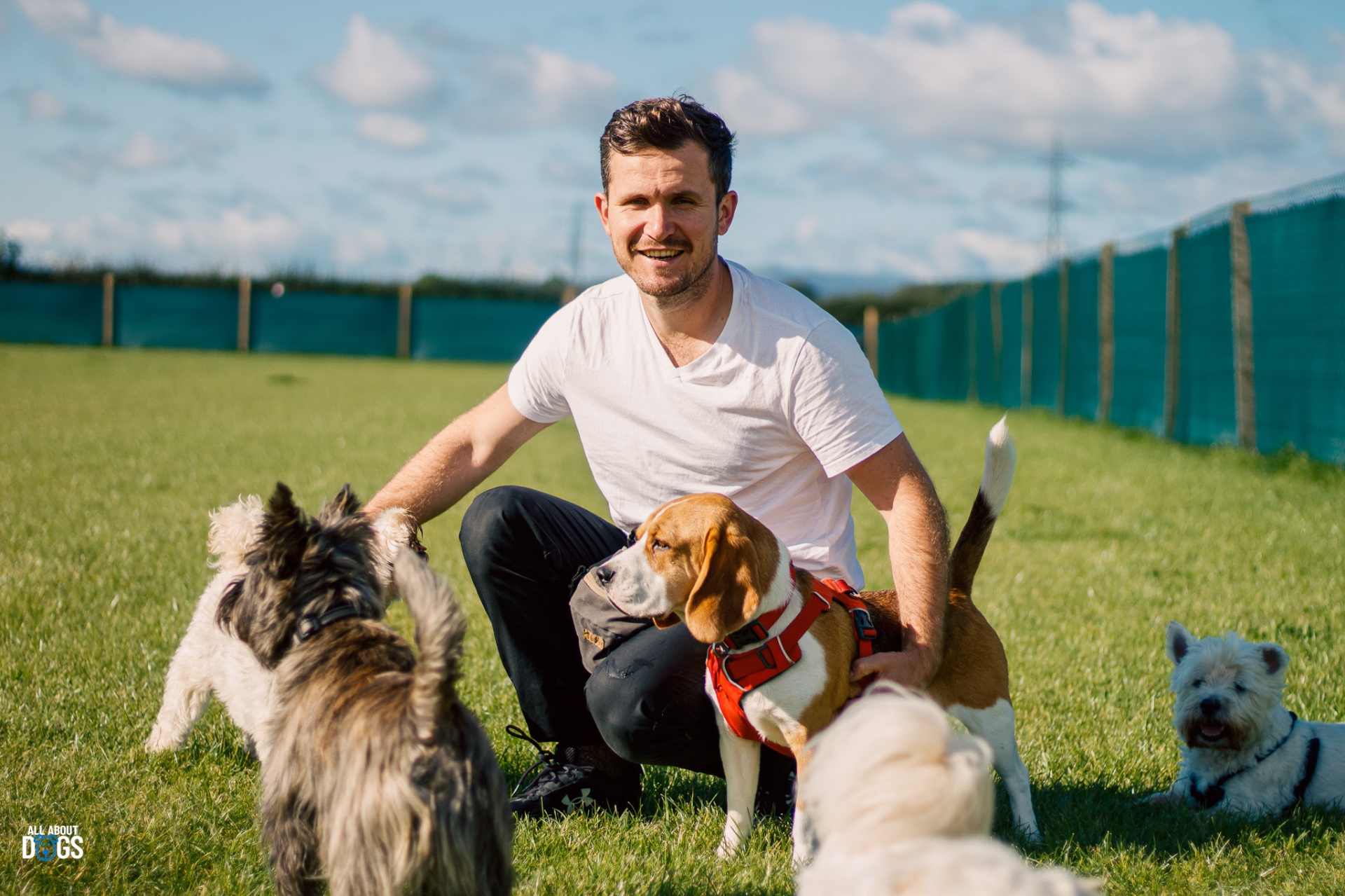 Graeme kneeling in the secure field surrounded by happy customer dogs in Renfrew